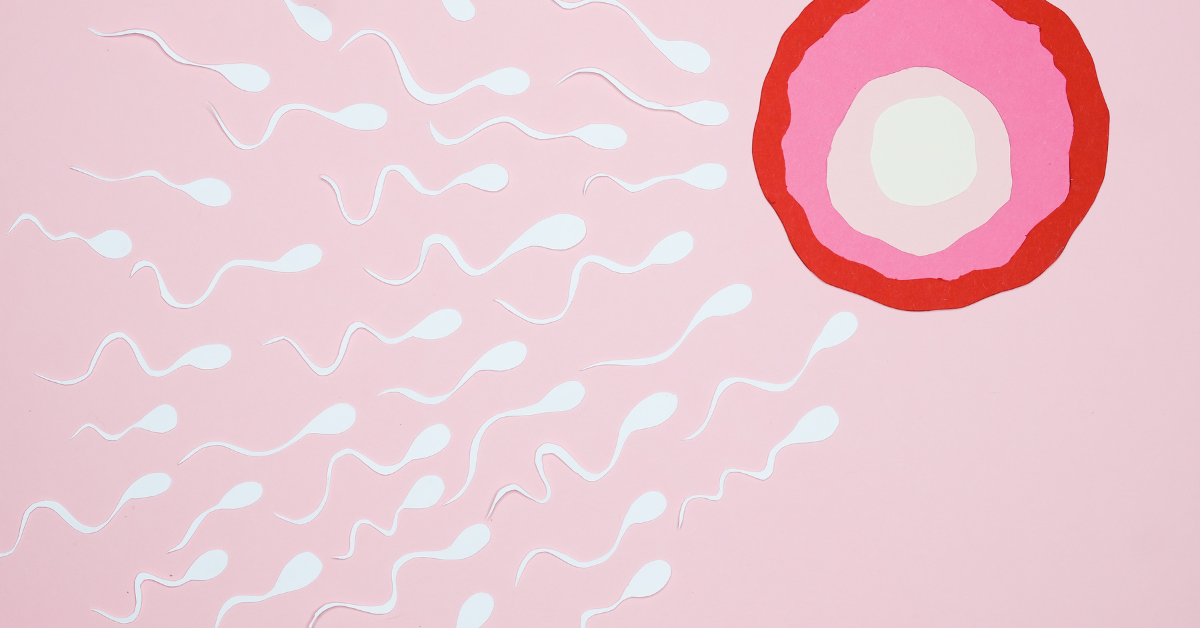 espermatozóides tentam aceder a um óvulo